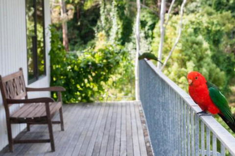 At Riverside - Accommodation Burleigh 5