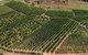 Farview Guest Accommodation - thumb 3
