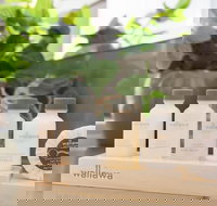 BOUTIQUE STAYS - Maple on Kent - Accommodation Burleigh