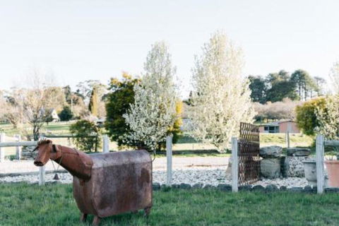 Omaroo - Accommodation Burleigh 5