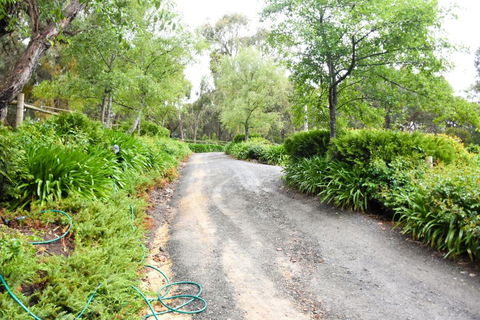 Avoca Park - Accommodation Burleigh 4