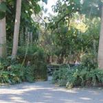 Avoca Park - Accommodation Burleigh 0
