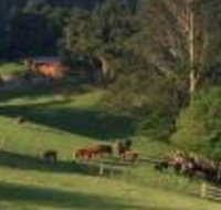 Amaroo Valley Springs - Accommodation Burleigh