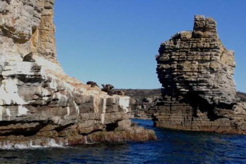 Summer Retreat At Callala Beach - Accommodation Burleigh 7