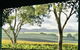 Jasmine's Cottage - thumb 1