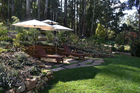Forest Edge Cottage At Merrow Cottages - Accommodation Burleigh 0