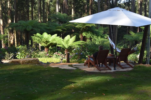 Forest Edge Cottage At Merrow Cottages - Accommodation Burleigh 5