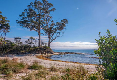 Adventure Bay Holiday Home - Accommodation Burleigh 3