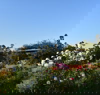 Labertouche Gypsy Creek Winery - Accommodation Burleigh