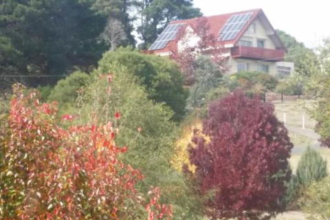 Abelia BIG SPA NO 1 Cottage - Accommodation Burleigh 2