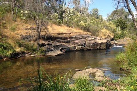 Eagles Nest - Accommodation Burleigh 3