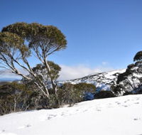 Alpine Heights 9 - Accommodation Burleigh