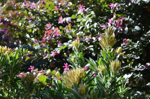 A Bach At Bright Bright VIC - Accommodation Burleigh 4