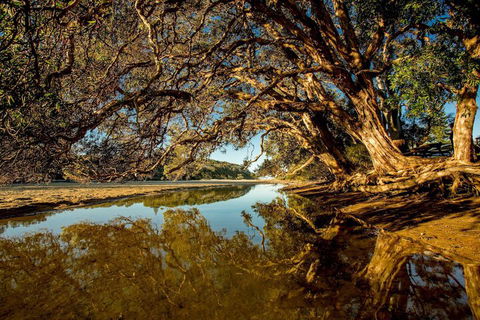 Woolgoolga Lakeside Holiday Park - Accommodation Burleigh 1