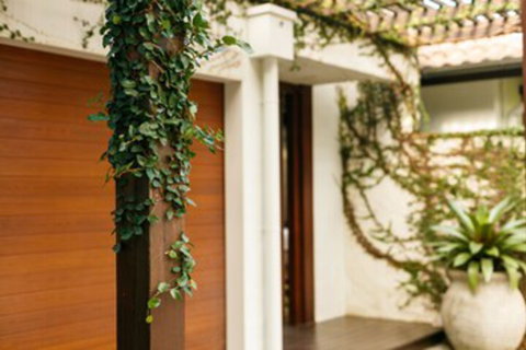 ESPRIT 2 PALM COVE BRAND NEW - Accommodation Burleigh 0