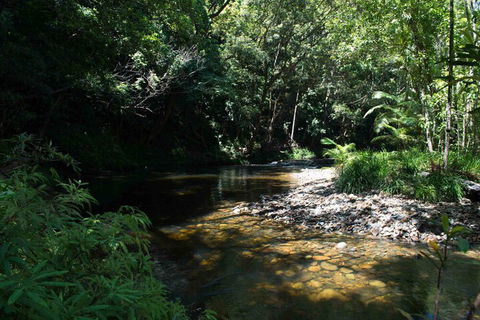 Noah Creek Eco Huts - Accommodation Burleigh 4