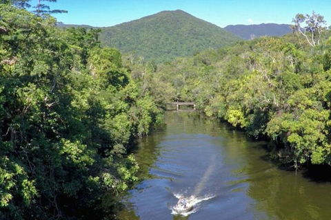 Noah Creek Eco Huts - Accommodation Burleigh 1