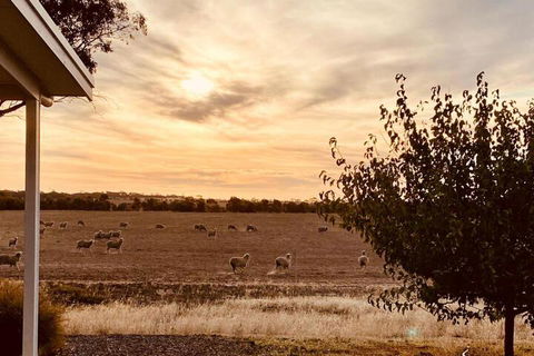 Marys Farm Cottages - Accommodation Burleigh 3