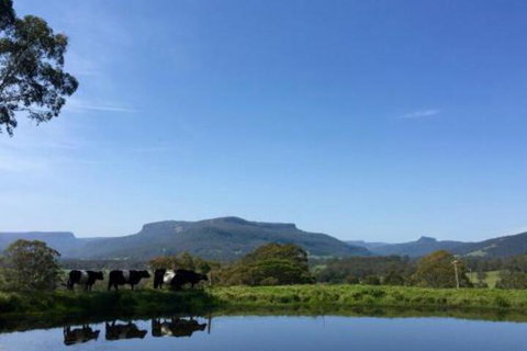 Minimbah Farm Cottages Family Farmstay Choose From 2 & 3 Bedroom Cottages & 6 Bedroom House - Accommodation Burleigh 0