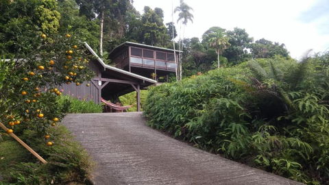 Daintree Holiday Homes La Vista - Accommodation Burleigh 4