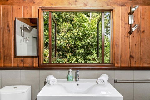 Daintree Holiday Homes La Vista - Accommodation Burleigh 5