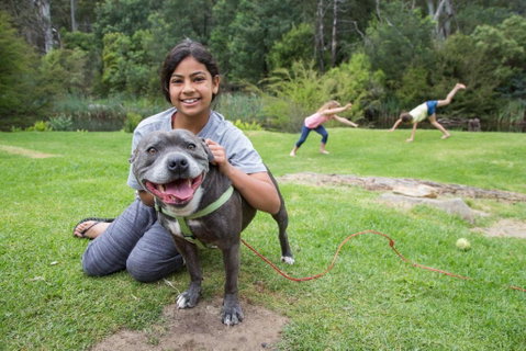 Warburton Holiday Park - Accommodation Burleigh 4