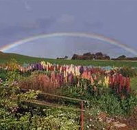 Boat Harbour Garden Cottages - Accommodation Burleigh