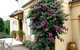 Casa Valeri - thumb 3