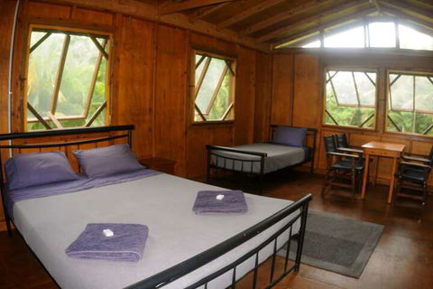 Daintree Rainforest Bungalows - Accommodation Burleigh 4