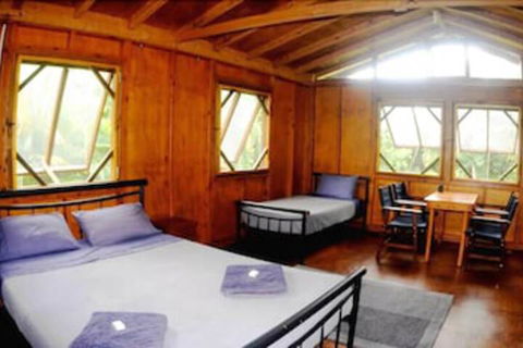 Daintree Rainforest Bungalows - Accommodation Burleigh 5