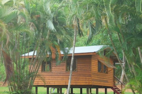 Daintree Rainforest Bungalows - Accommodation Burleigh 0