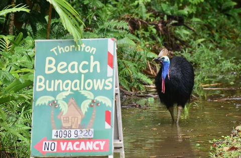 Thornton Beach Bungalows - Accommodation Burleigh 5