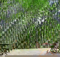 Azabu Boutique Accommodation Byron Bay - Accommodation Burleigh