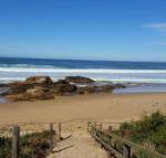 Bellbird Cottage B  B - Accommodation Burleigh