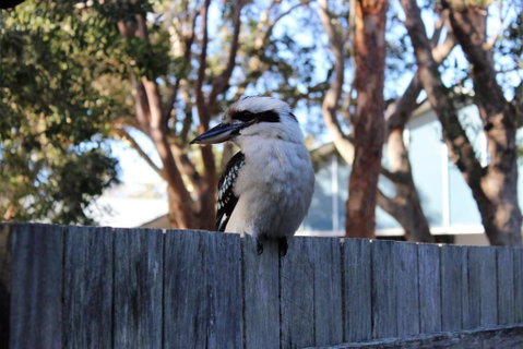 POINT BREAK WEEKLY ONLY - Accommodation Burleigh 2