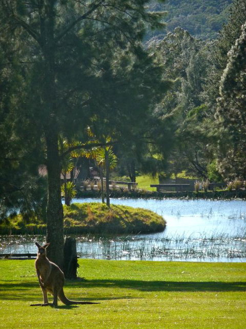 Siver Cabin - Accommodation Burleigh 3