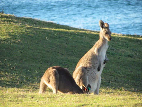 Lake Russell Retreat - Accommodation Burleigh 6