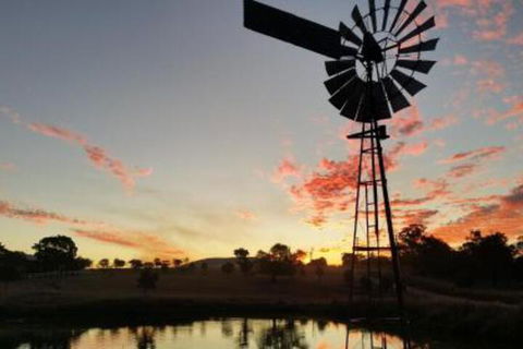 Milford Country Cottages - Accommodation Burleigh 3