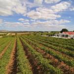 Barossa Valley Lyndoch - Accommodation Burleigh 0