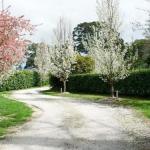 Robin Hill Manor Rambling Retreat & Tennis Court - Accommodation Burleigh 0