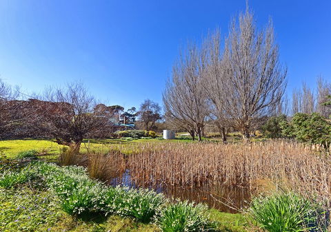 Ventnor Guest House - Accommodation Burleigh 6