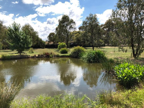 Appleyard BnB - Accommodation Burleigh 2