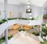 The Atrium 11 Kentia Close - Accommodation Burleigh