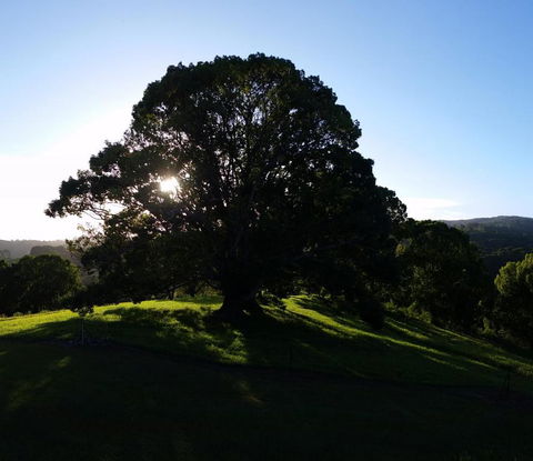 Valleydale Cottage - Accommodation Burleigh 1