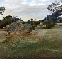 Young Budget Accommodation - Accommodation Burleigh