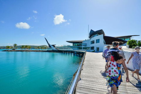Yacht Club Villa 33 Serenity 4 Bedroom 4 Bathroom House Ocean Views 2 Buggies - Accommodation Burleigh 4