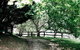 Braebrook Stunning Farm House! - thumb 3