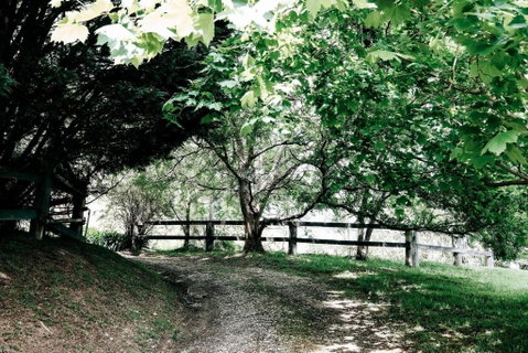 Braebrook Stunning Farm House! - Accommodation Burleigh 3
