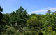 Cloudsong Chalet 3 Close To The Village Centre! - thumb 6