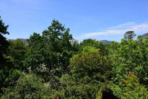 Cloudsong Chalet 3 Close To The Village Centre! - Accommodation Burleigh 6